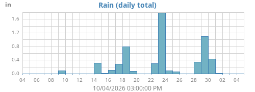 Rain