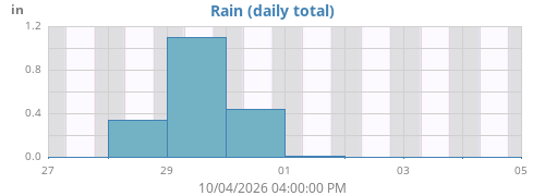 Rain